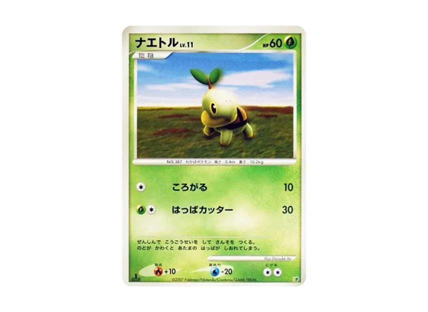 Turtwig : 1ED [DP] (Diamond Pearl "Entry Pack'08")