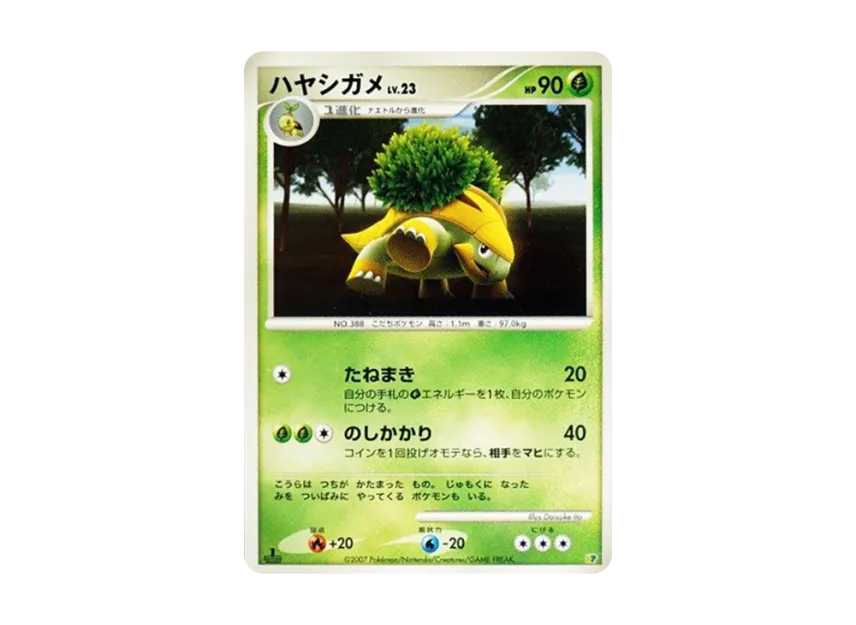 Grotle : 1ED [DP] (Diamond Pearl "Entry Pack'08")