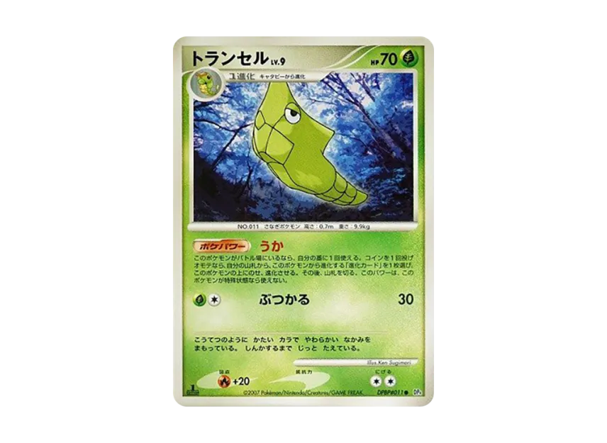 Metapod : 1ED [DP4 #011] (Expansion Pack "Dawn Run")