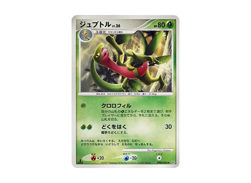 Grovyle : 1ED [DP4 #303] (Expansion Pack "Dawn Run")
