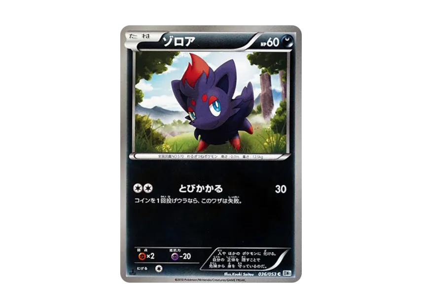 Zorua C : 1ED [BW1-WHITE-COLLECTION 036/053] (Expansion Pack "White Collection")