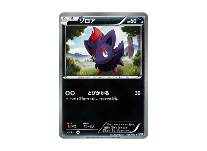 Zorua C [BW1-WHITE-COLLECTION 036/053] (Expansion Pack "White Collection")