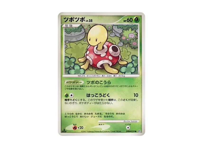 Shuckle : 1ED [DP3 #259] (Expansion Pack "Shining Darkness")