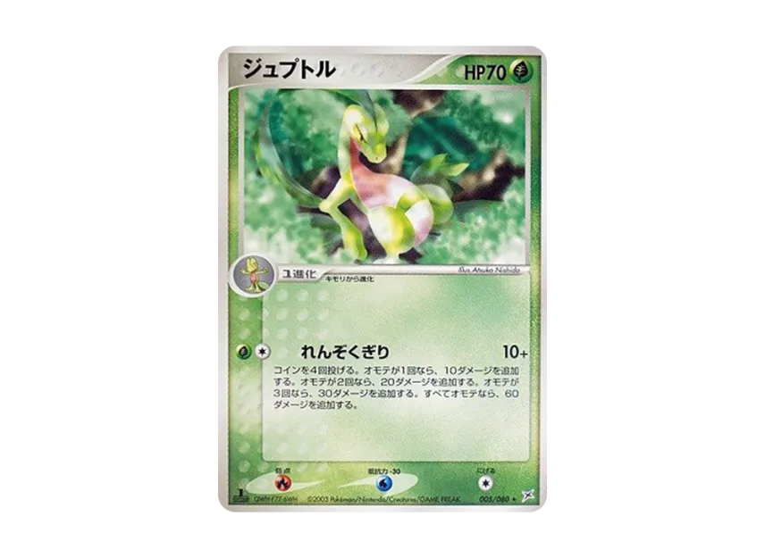 Grovyle : 1ED [ADVEX 005/080] (Enhanced Expansion Pack ex1 "Magma VS Aqua: Two Ambitions")