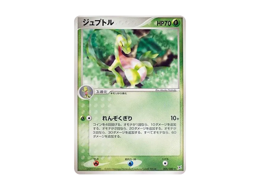Grovyle [ADVEX 005/080] (Enhanced Expansion Pack ex1 "Magma VS Aqua: Two Ambitions")