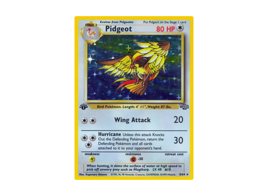 Pidgeot R : 1ED [64-JUNGLE 8/64] [EN] (Base "Jungle")