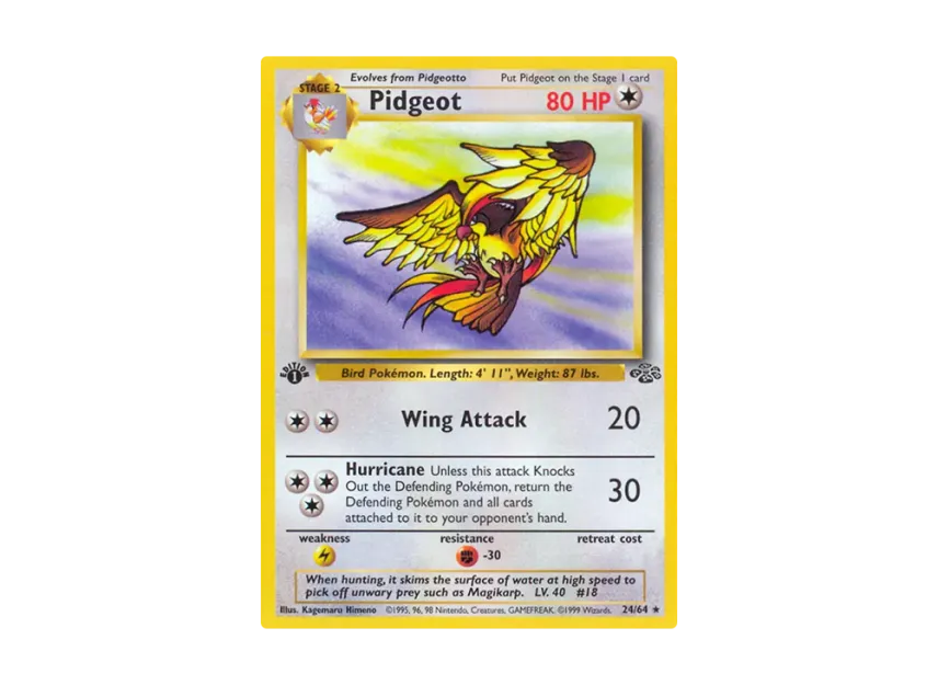 Pidgeot R : 1ED [64-JUNGLE 24/64] [EN] (Base "Jungle")