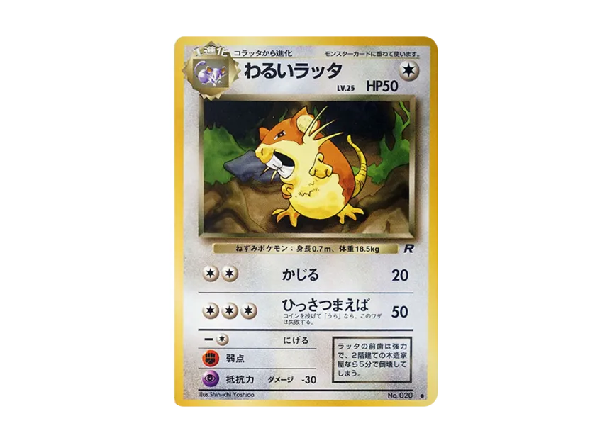 Dark Raticate : Old Back [PMCG4 No.020] (Expansion Pack "Team Rocket")