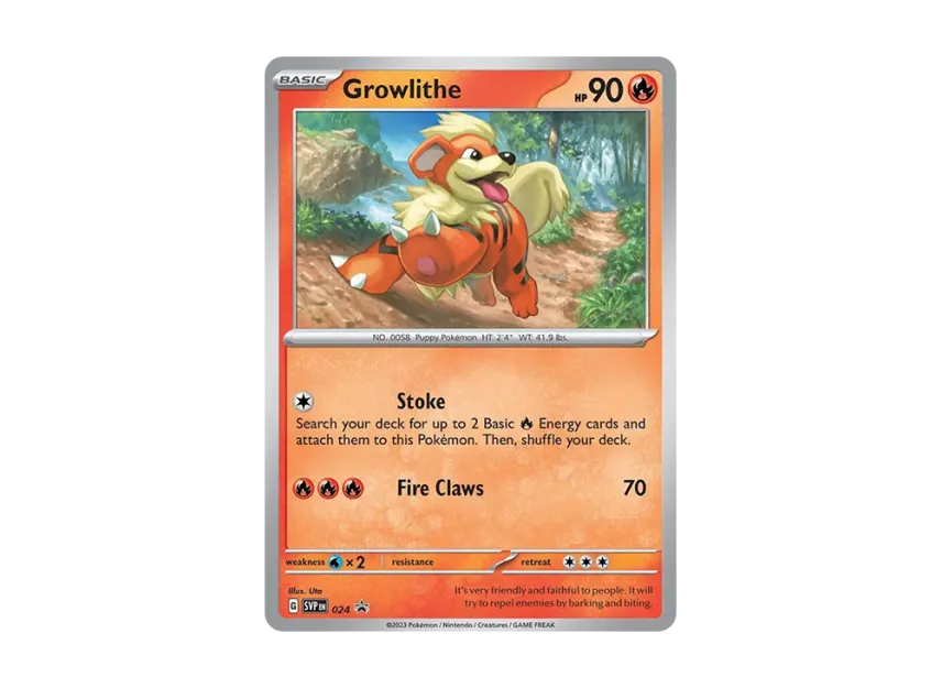 Growlithe P [SVP 024] [EN] (Scarlet & Violet "Promotional Card")