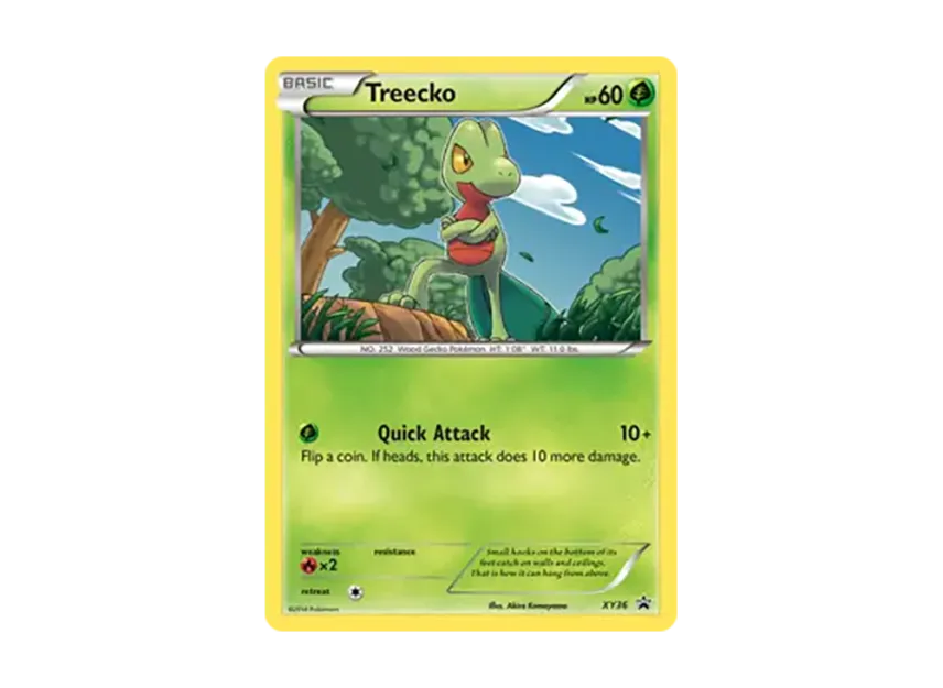 Treecko P [XY36] (XY "Promotional Card")