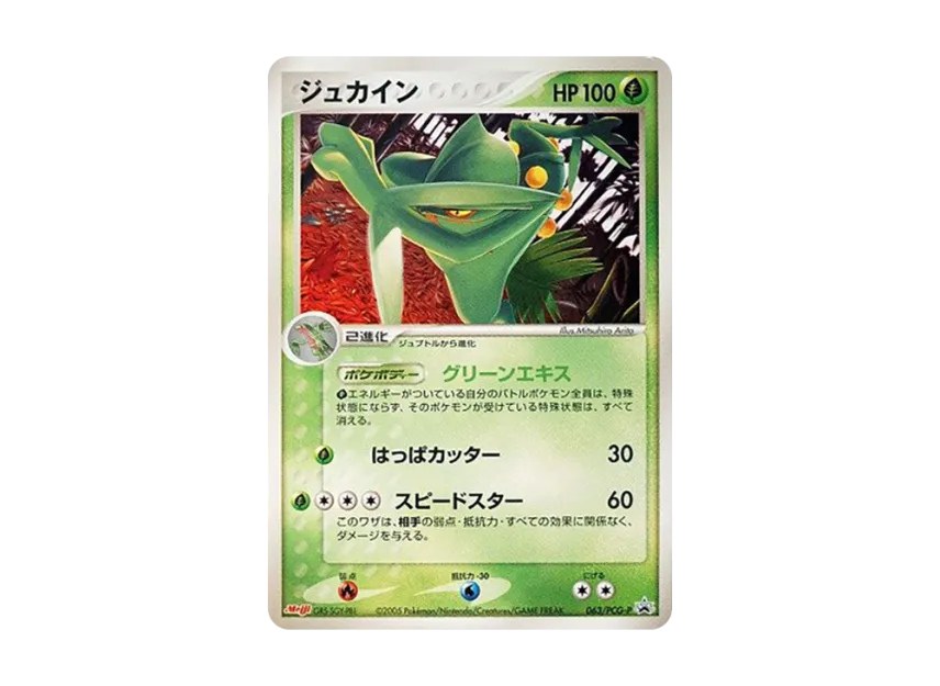 Sceptile P [PCG-P 063] (Promotional Cards "Meiji Seika Pokemon Chocolate Snack Part 3 June 2005")
