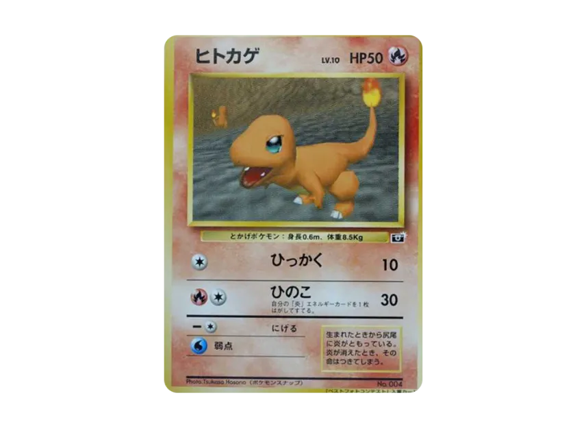 Charmander : PROMO [SNAP 004] ("Pokemon Snap Best Photo Contest")