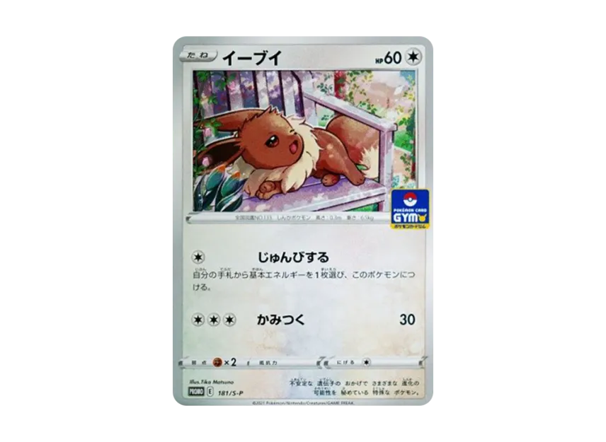 Cheryl : PROMO P [S-P 183] (Pokemon Card Game Sword & Shield Promo Card Pack "6th edition")