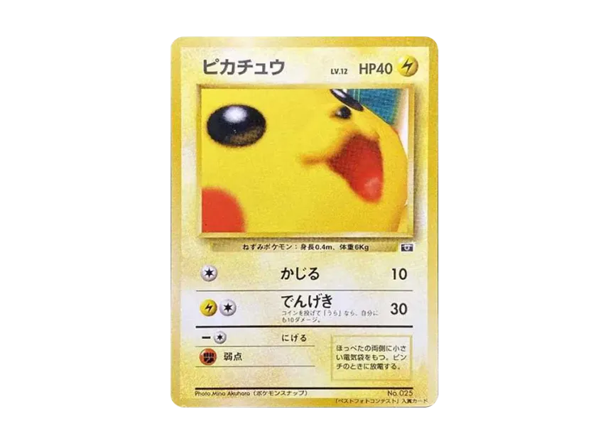 Pikachu P : Old Back [PMCG-P] (Promotional Cards "Pokemon Snap Contest Sponsored By Shogakukan Corocoro Comics")