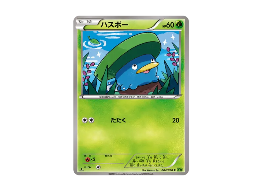 Lotad C : 1ED [XY5-TIDAL-STORM 004/070] (Expansion Pack "Tidal Storm")
