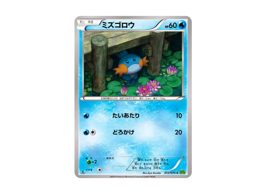 Mudkip C : 1ED [XY5-TIDAL-STORM 012/070] (Expansion Pack "Tidal Storm")