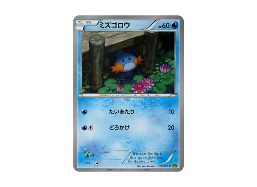 Mudkip C [XY5-TIDAL-STORM 012/070] (Expansion Pack "Tidal Storm")