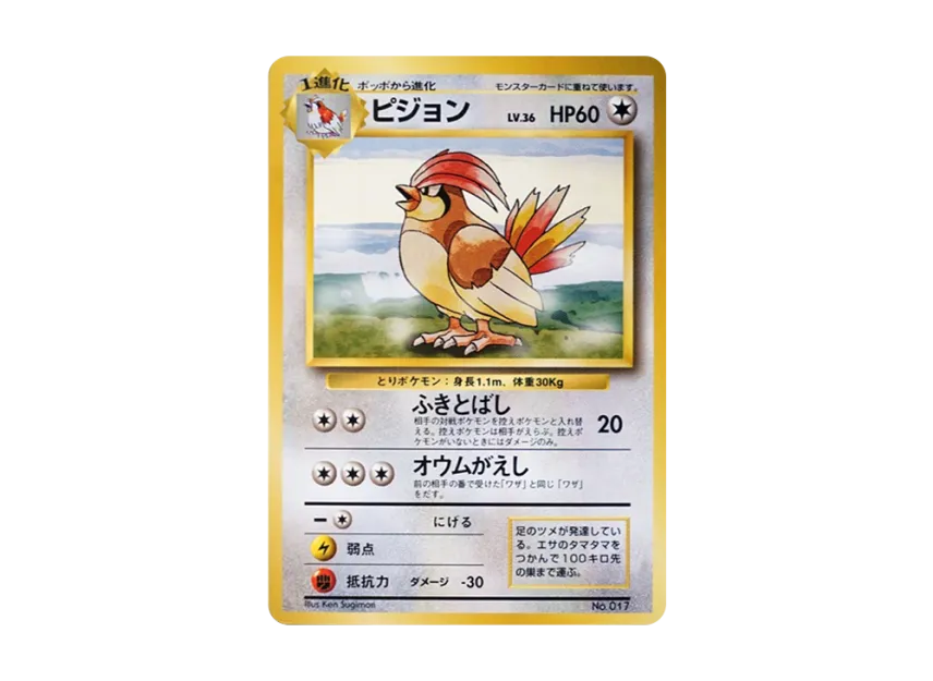 Pidgeotto : 1ED : Old Back [PMCG1 1] (Expansion Pack "Pocket Monster Card Game First Edition")