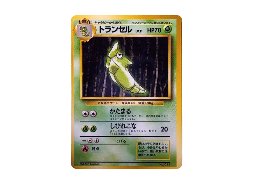 Metapod : 1ED : Old Back [PMCG1 1] (Expansion Pack "Pocket Monster Card Game First Edition")