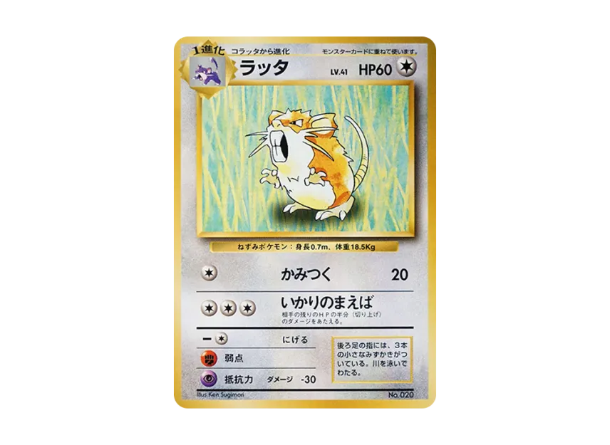 Raticate : 1ED : Old Back [PMCG1 1] (Expansion Pack "Pocket Monster Card Game First Edition")