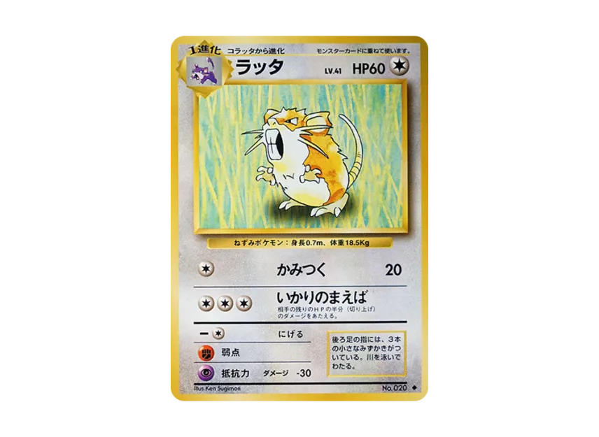 Raticate : Old Back [PMCG1 2] (Expansion Pack "Pocket Monster Card Game Resale")