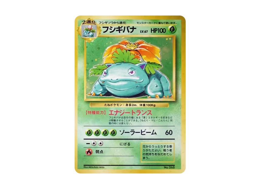 Venusaur : 1ED : Old Back [PMCG1 1] (Expansion Pack "Pocket Monster Card Game First Edition")